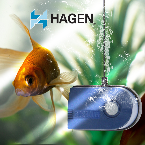 Bomba De Aire Elite 802 Oxigenación Peces