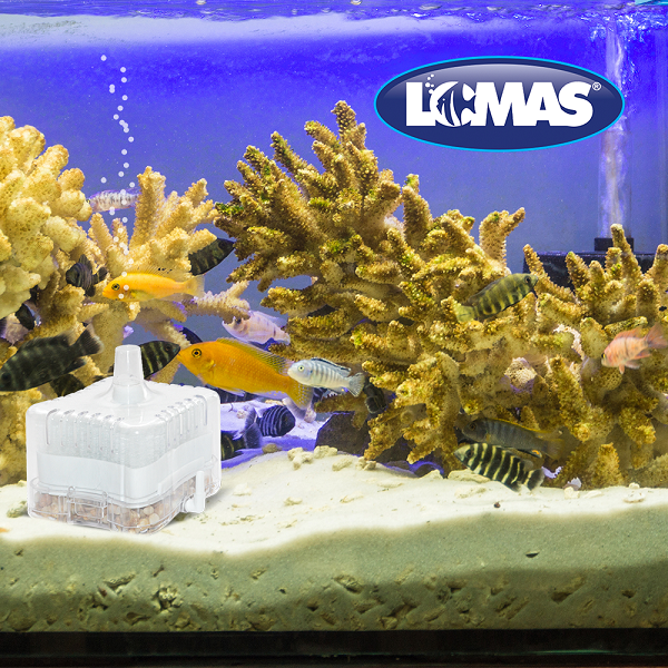 Filtro Interno De Caja Con Filtrantes Peces Acuario 25 Litro