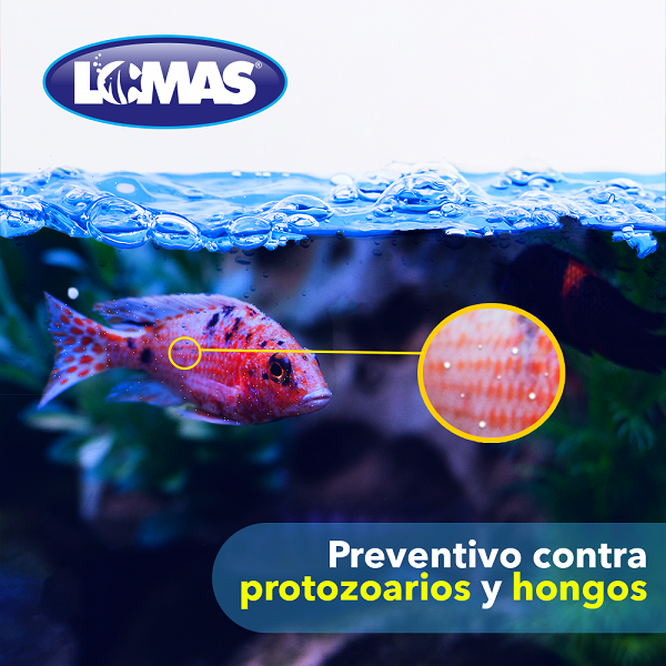 Azul De Metileno De 1 Litro Peces Acuario