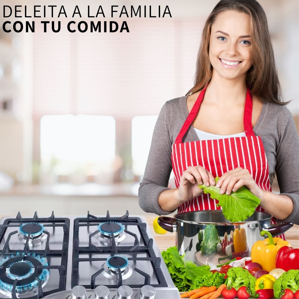 Parrilla Electrica Gas 4 Quemadores Acero Inoxidable Tactil