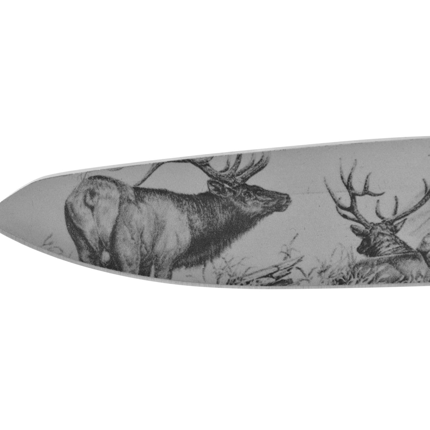 Navaja Wallis con mango de madera con acero, hoja lisa diseño de alce, clip