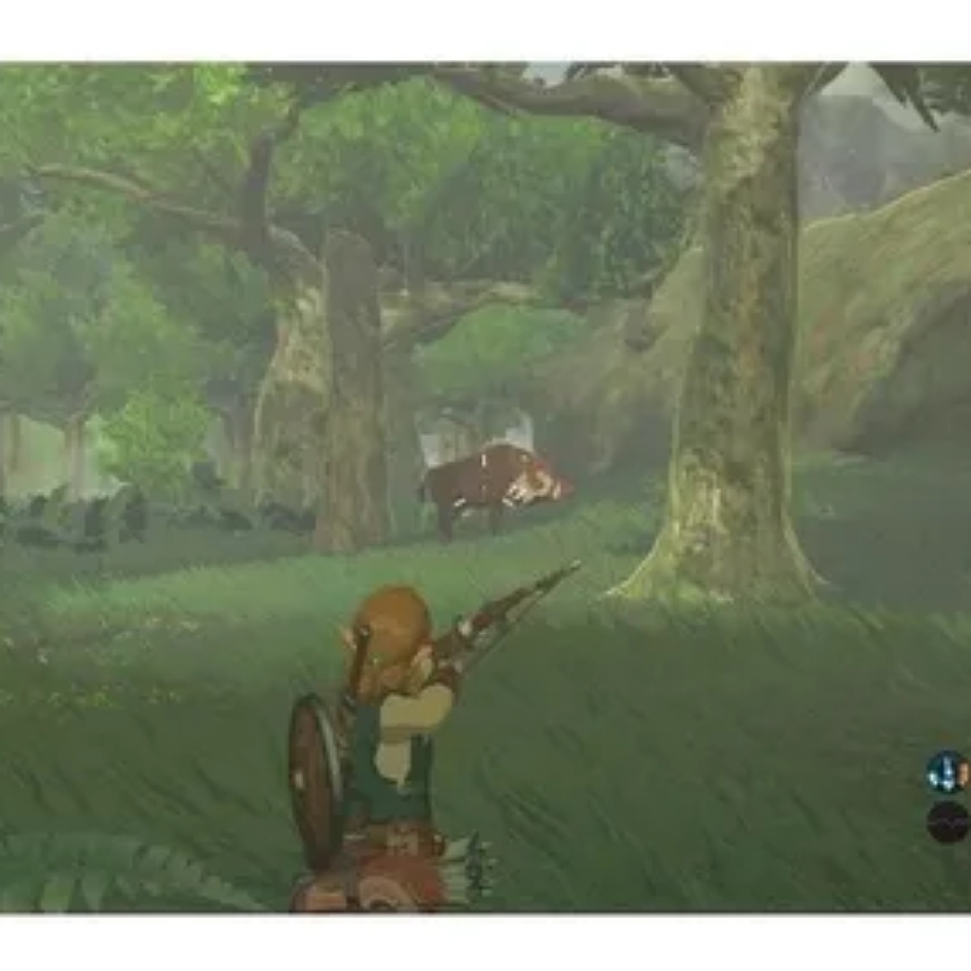 The Legend of Zelda: Breath of the Wild Standard Edition Nintendo Switch Físic