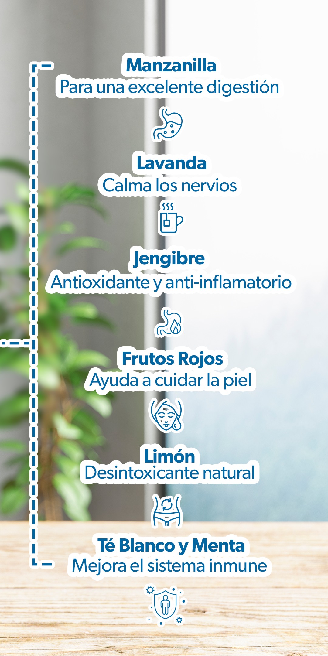 Bolsas Té Infusión Member's Mark 6 Sabores 120 Sobres