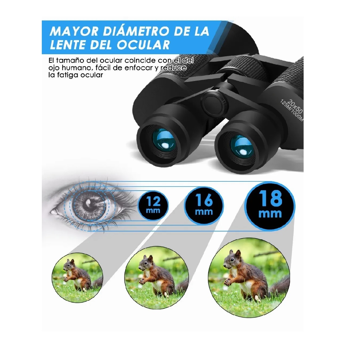 Binoculares Profesional  Prisma Fmc Lente