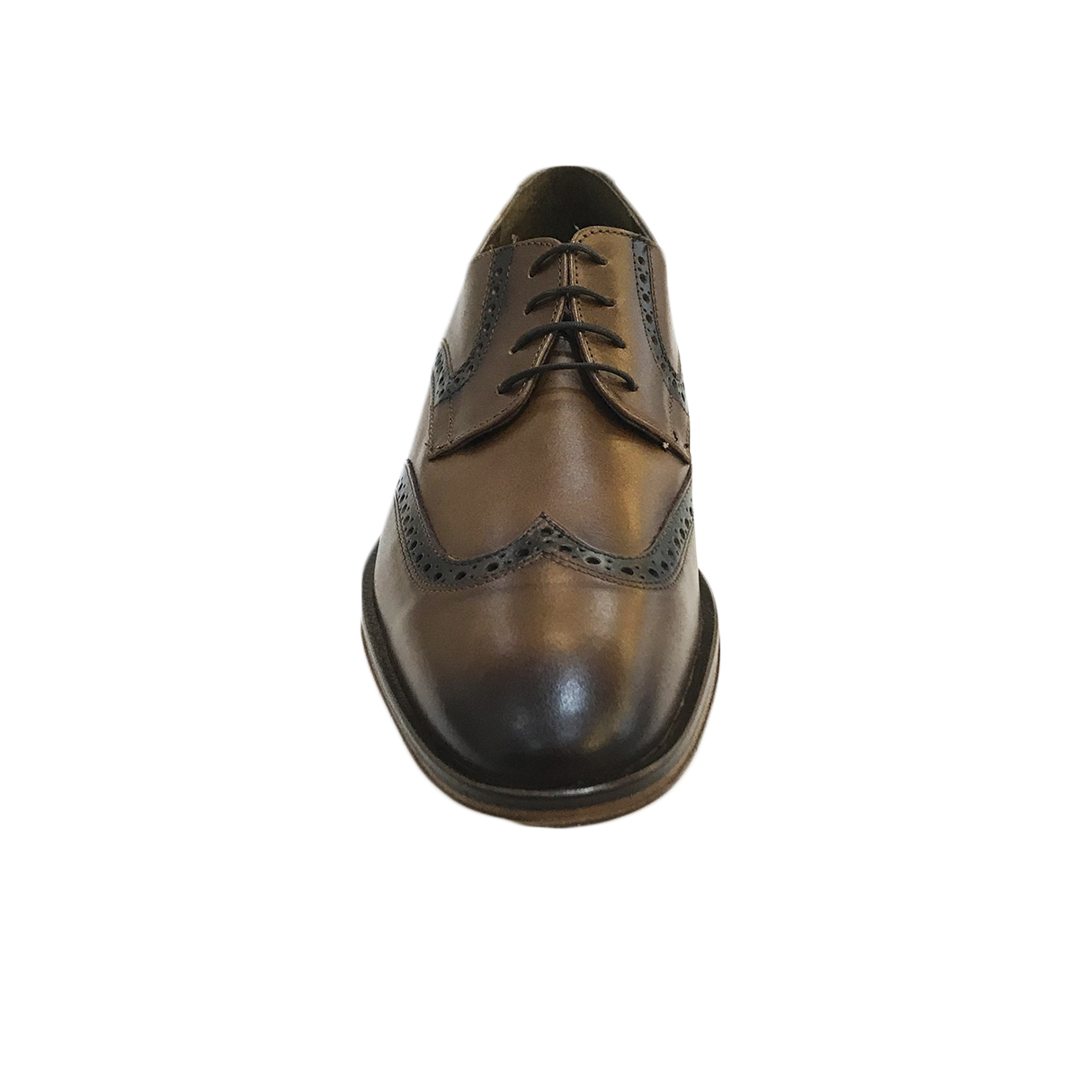 Zapatos Evolución Vestir Elegantes Piel Ternera