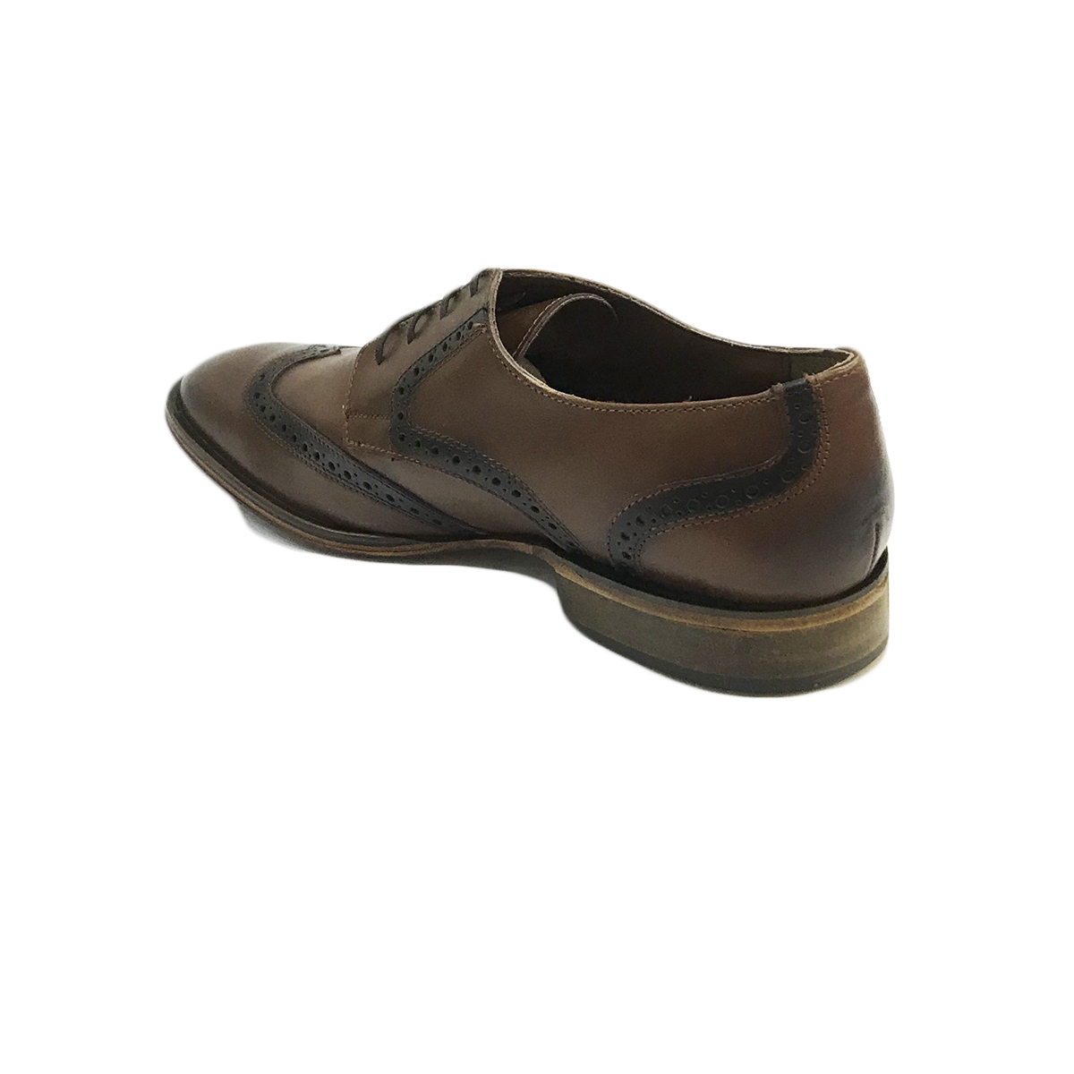 Zapatos Evolución Vestir Elegantes Piel Ternera