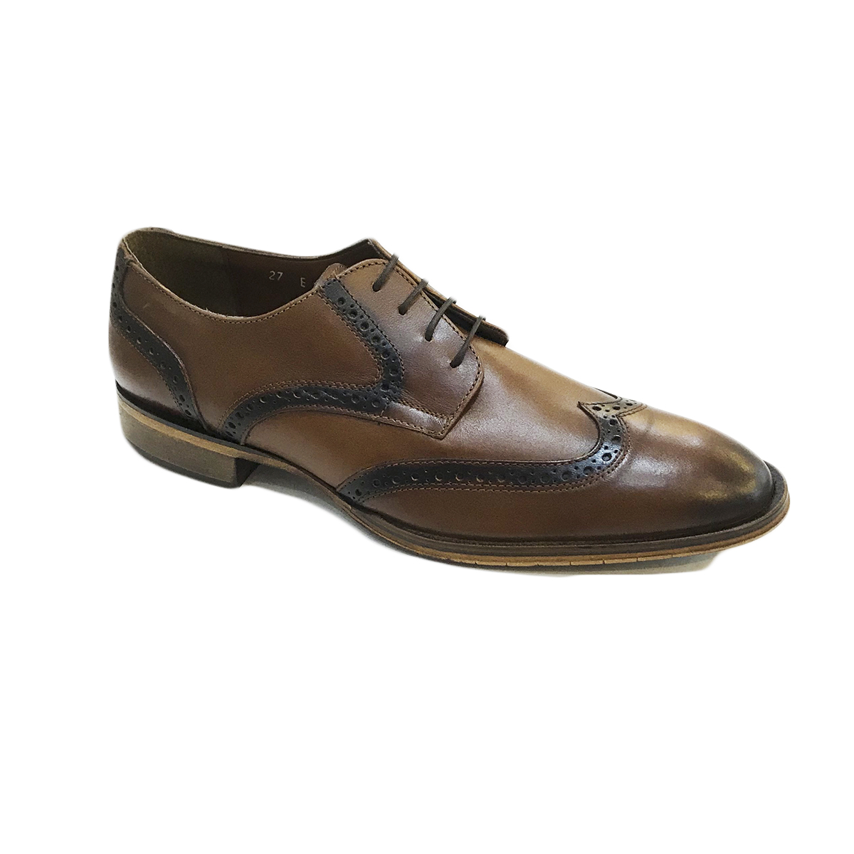 Zapatos Evolución Vestir Elegantes Piel Ternera