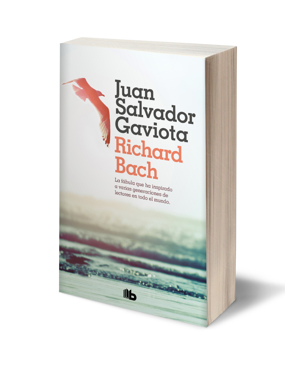 Juan Salvador Gaviota