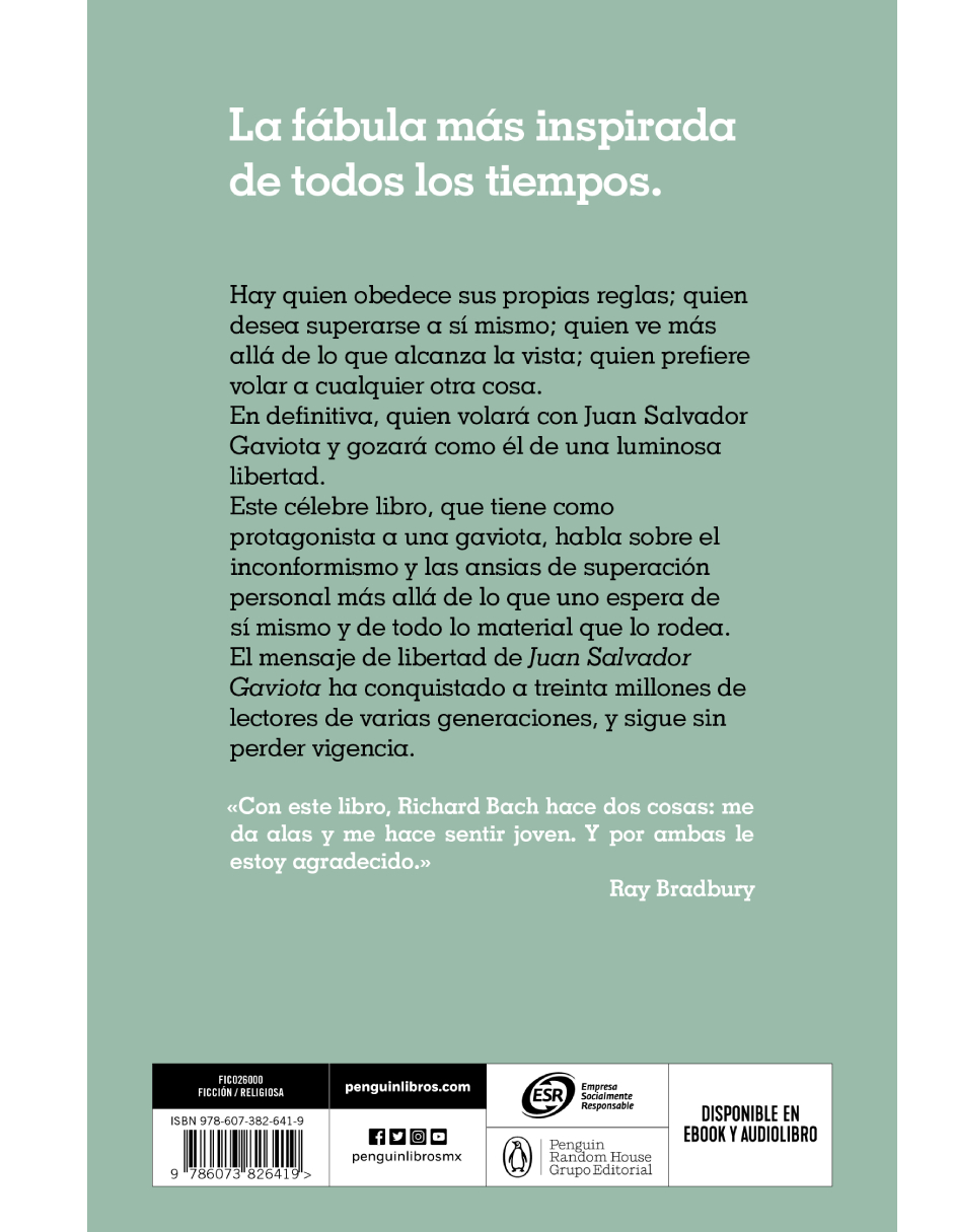 Juan Salvador Gaviota