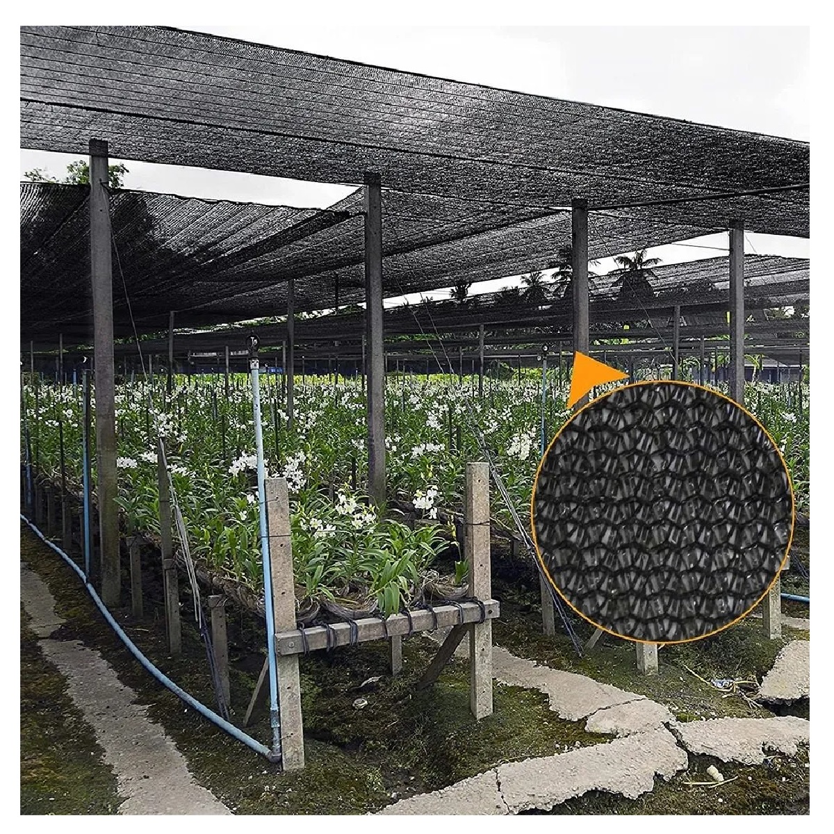 Maya Sombra Negra 70% 4.5x15 Mts 