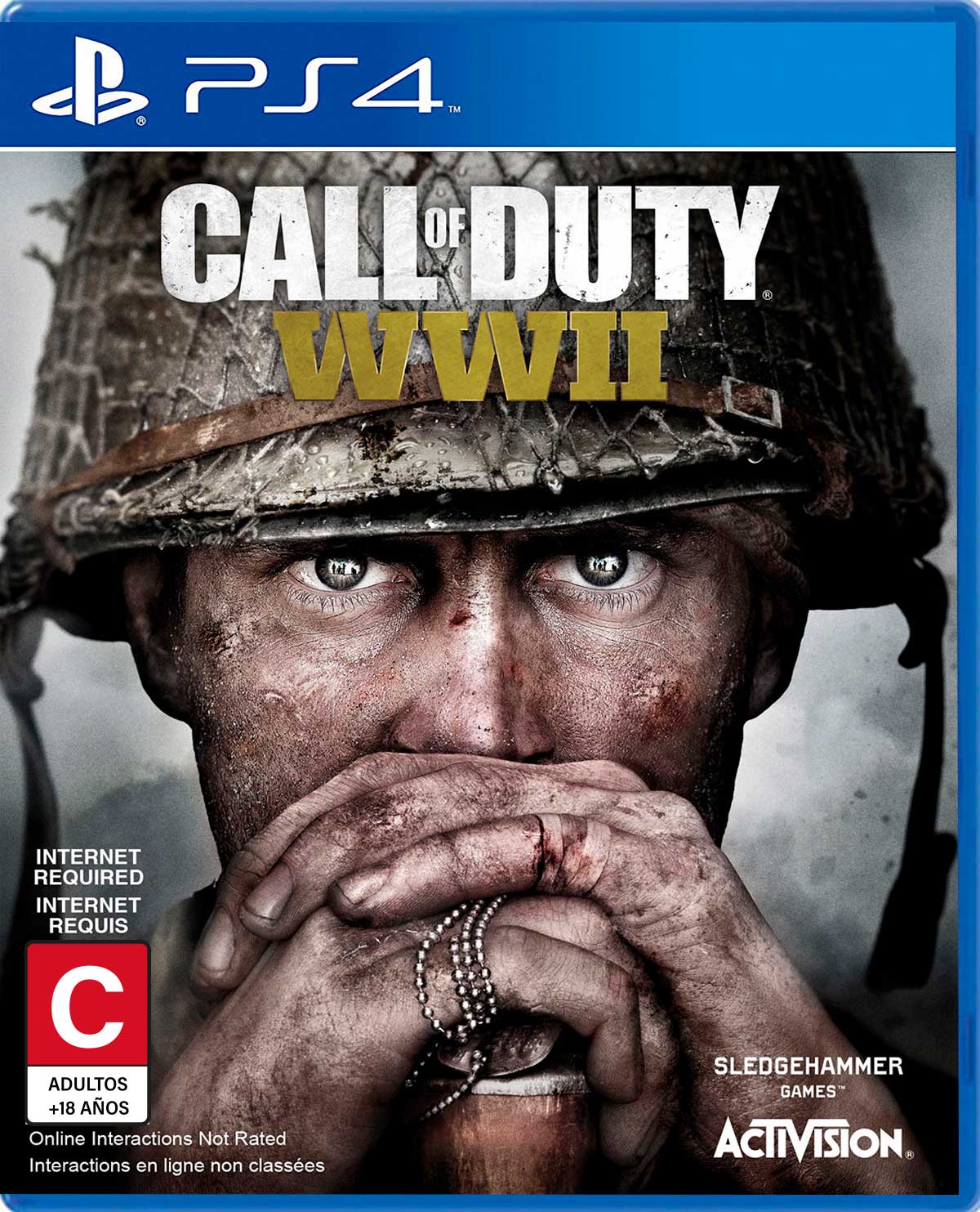 PS4 Juego Call Of Duty World War II