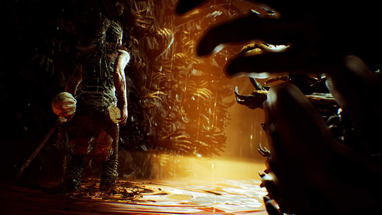 HellBlade Senua's Sacrifice Compatible PS4