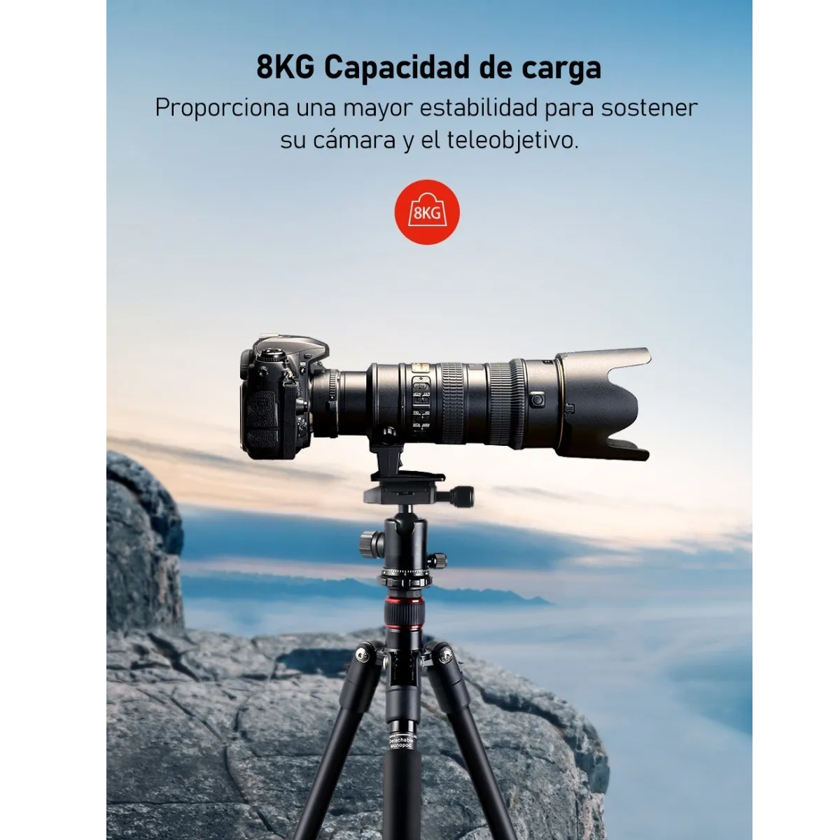 Tripie Para Cámara Profesional Estabilizador 172cm Con Bolso