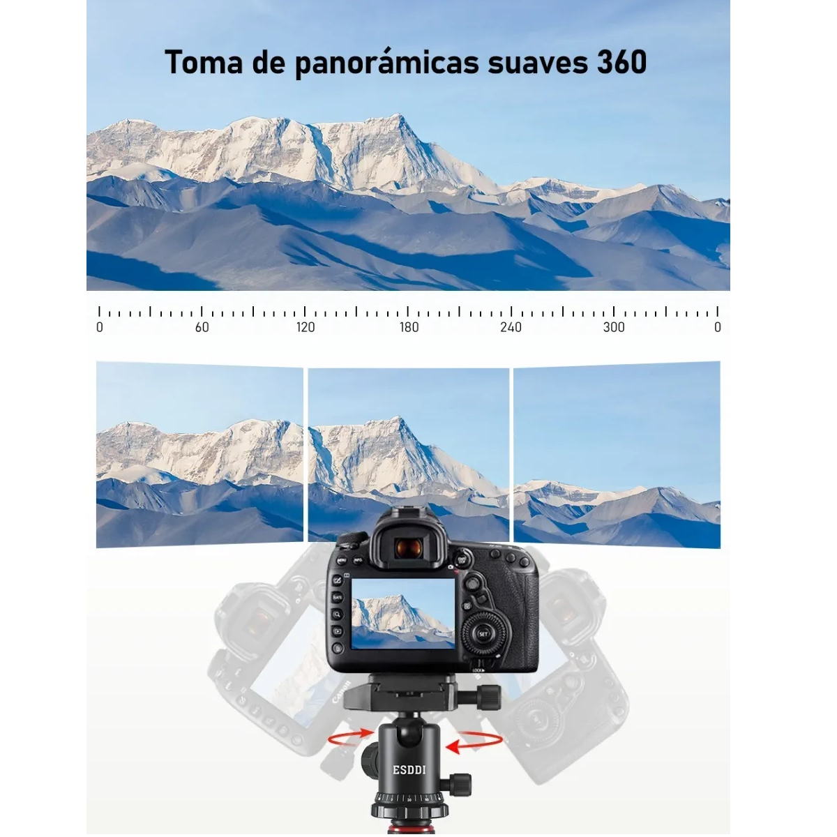 Tripie Para Cámara Profesional Estabilizador 172cm Con Bolso