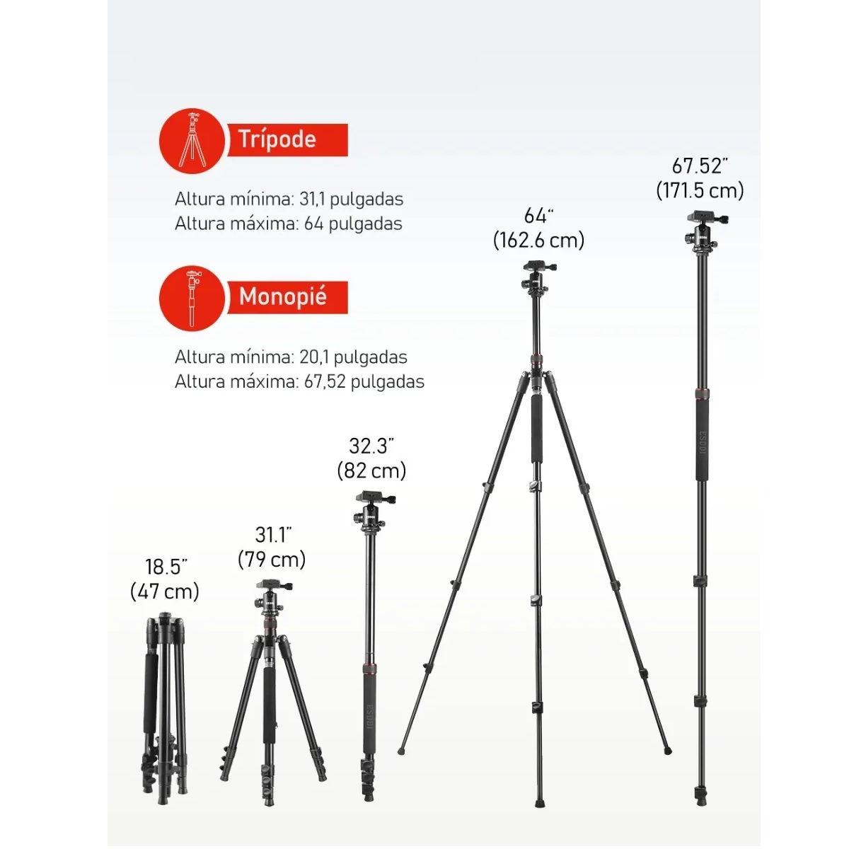 Tripie Para Cámara Profesional Estabilizador 172cm Con Bolso
