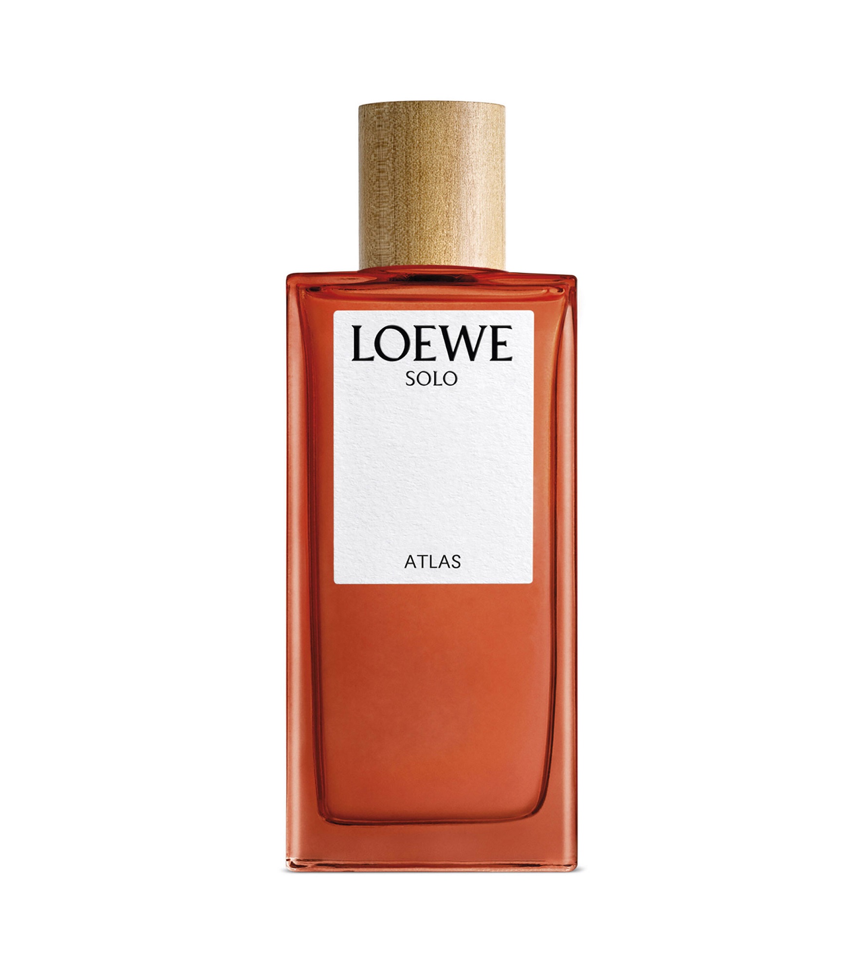 Perfume Loewe Solo Atlas Eua De Parfum 100ml Caballero