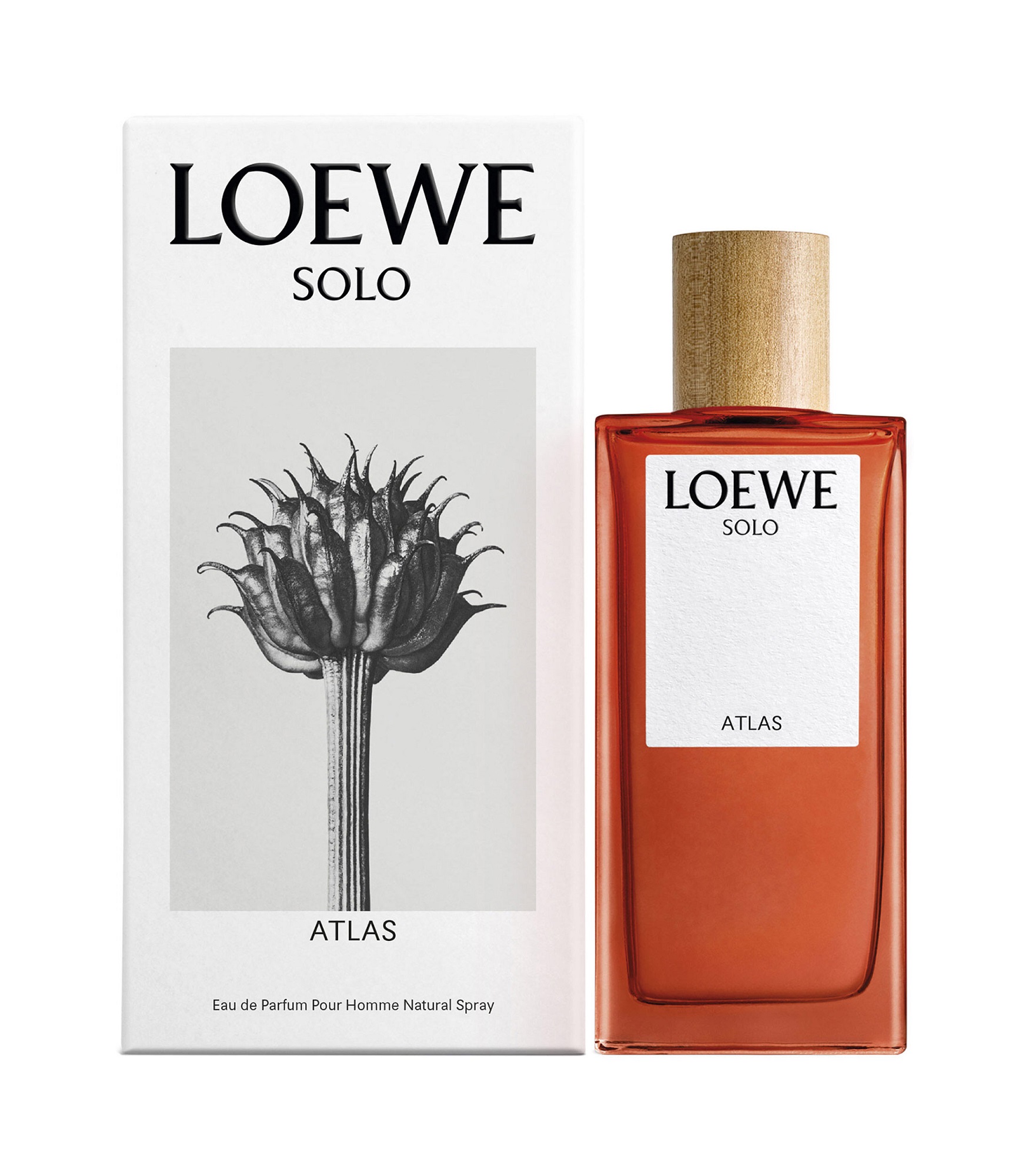 Perfume Loewe Solo Atlas Eua De Parfum 100ml Caballero