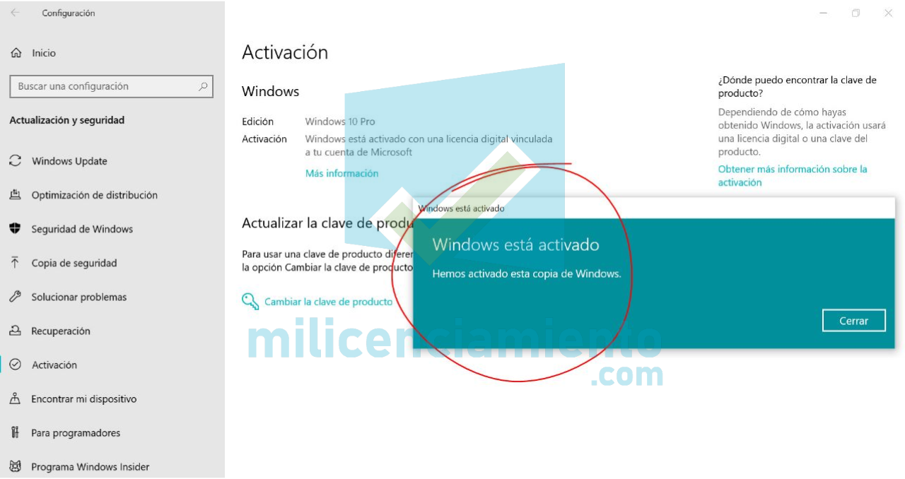 Windows 10 Professional 10 Cajas