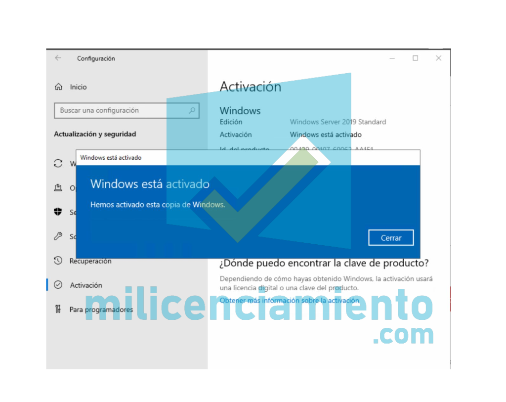 Microsoft Office Professional Plus 2019 Licencia Digital 1 pc Facturamos 