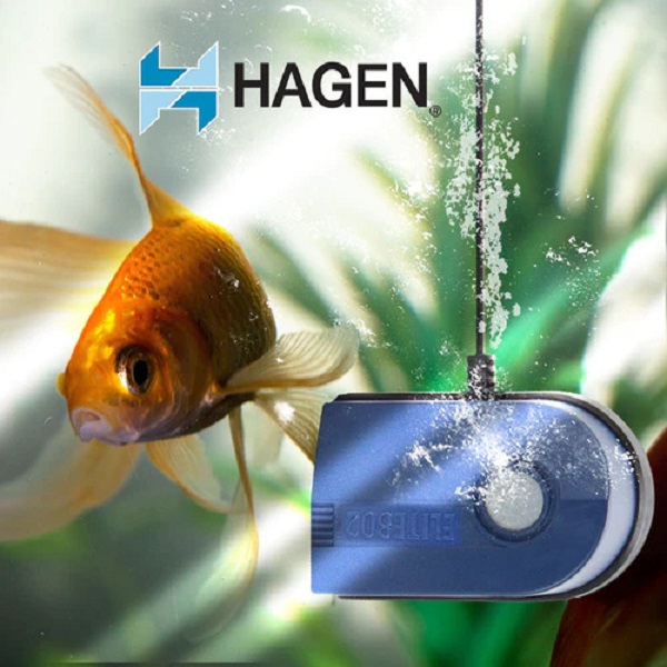 Bomba Elite 802 20 Gal (75.7 L) - Hagen