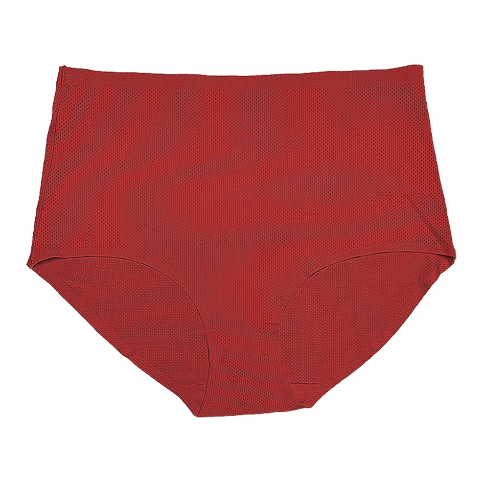 6 Pantaletas a La Cintura SIN COSTURAS Pack con 6 Diferentes Colores