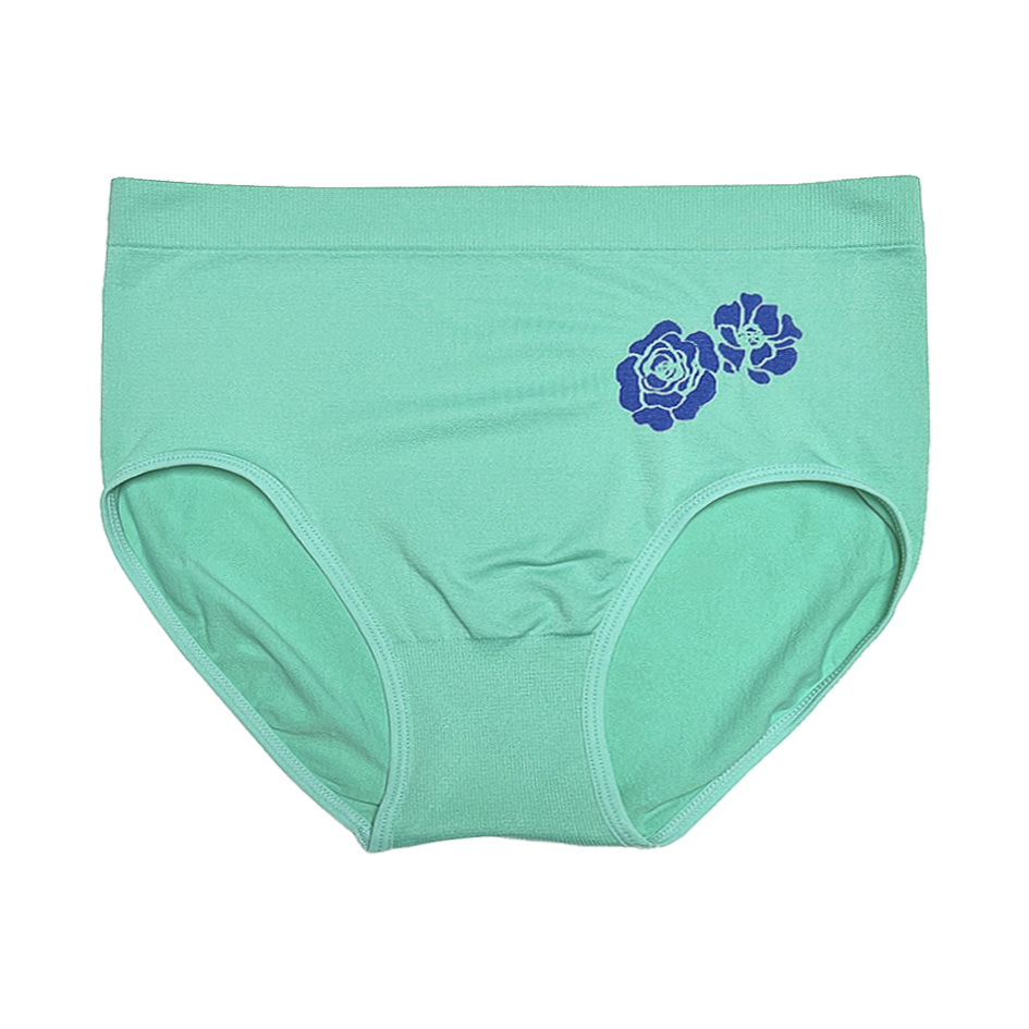 6 Pantaletas a la Cintura TALLAS EXTRAS Pack con 6 Diferentes Colores 1622