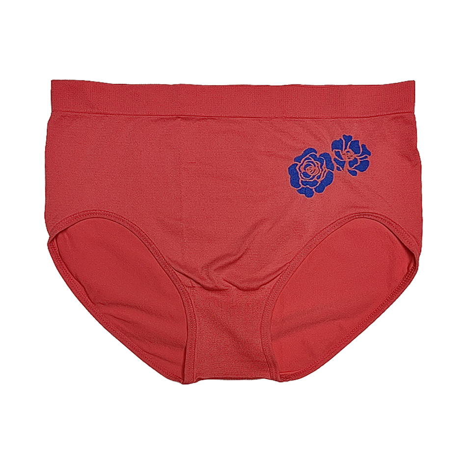 6 Pantaletas a la Cintura TALLAS EXTRAS Pack con 6 Diferentes Colores 1622