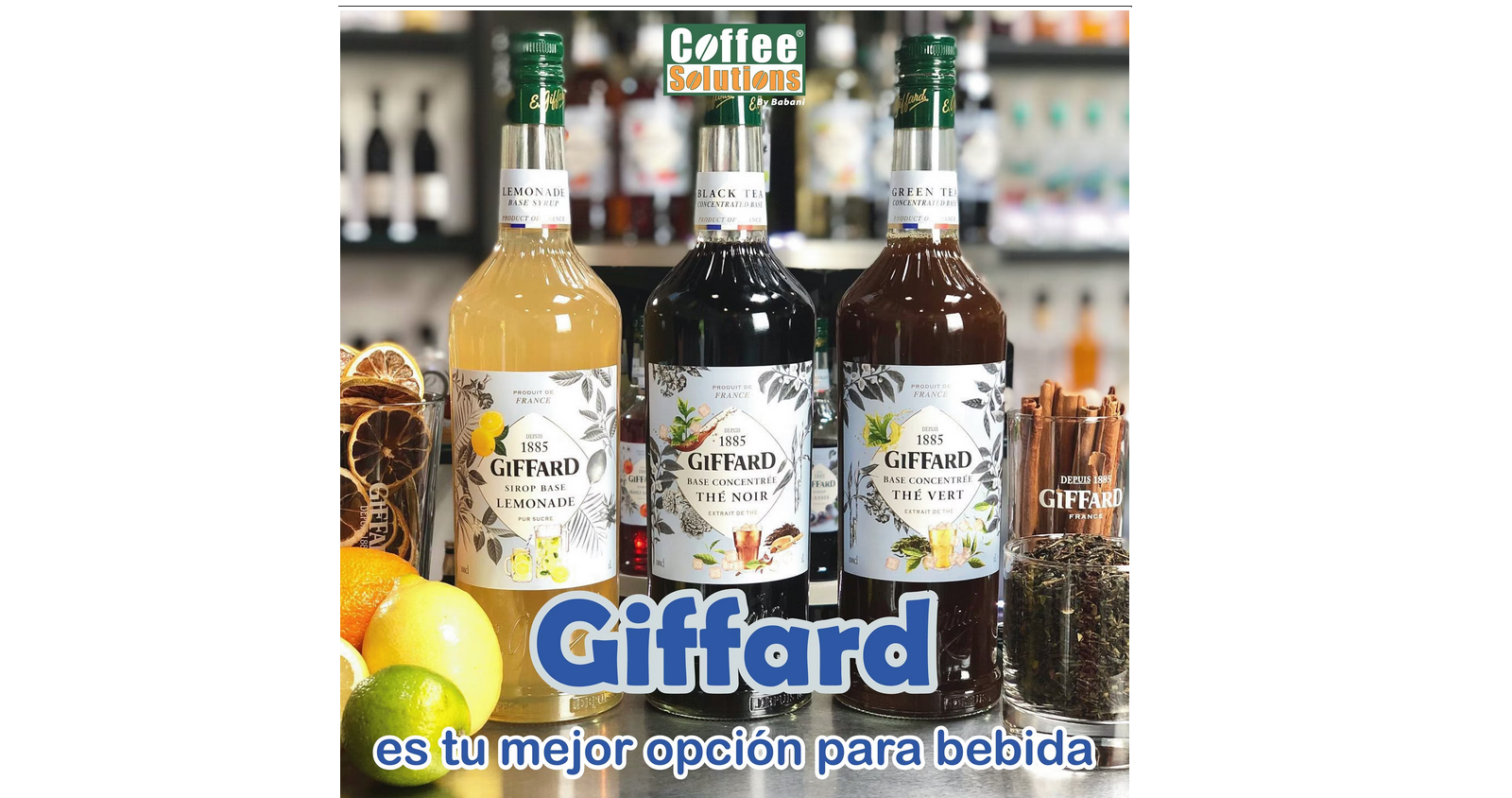 Giffard, Jarabe Sabor Chocolate Oscuro, Botella 1 Litro