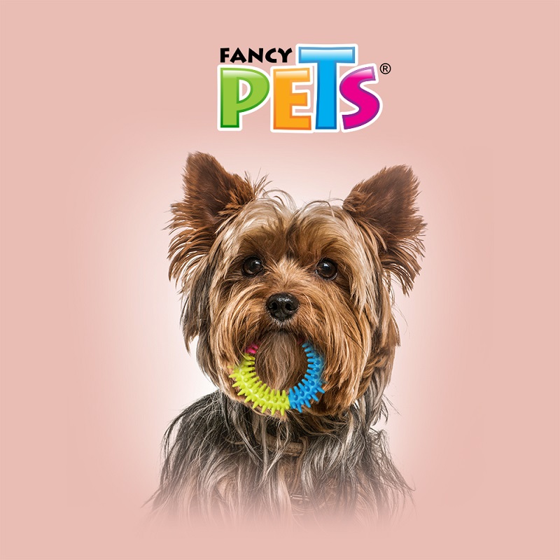Juguete Aro Tricolor de Caucho - Fancy Pets