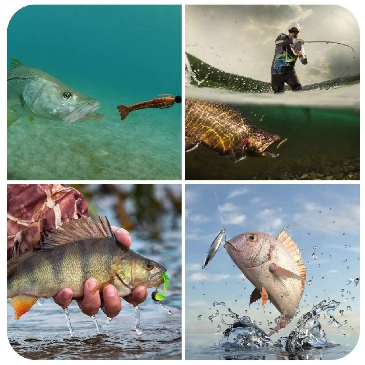 Señuelos Para Pesca De Río, Kit Para 181 Pzs Señuelos Pesca