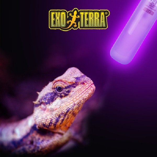 Foco Sun Glo Exo-Terra 15 W - Hagen