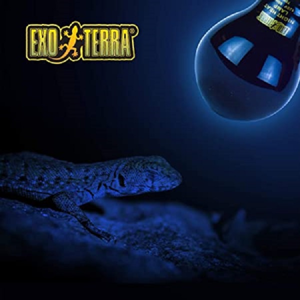 Foco Sun Glo Exo-Terra 100 W - Hagen
