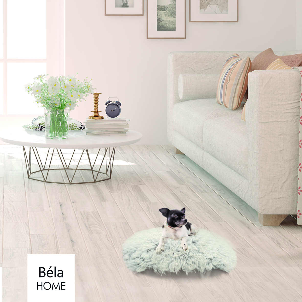 Cama Anti Estrés Perro Pequeña Béla Home
