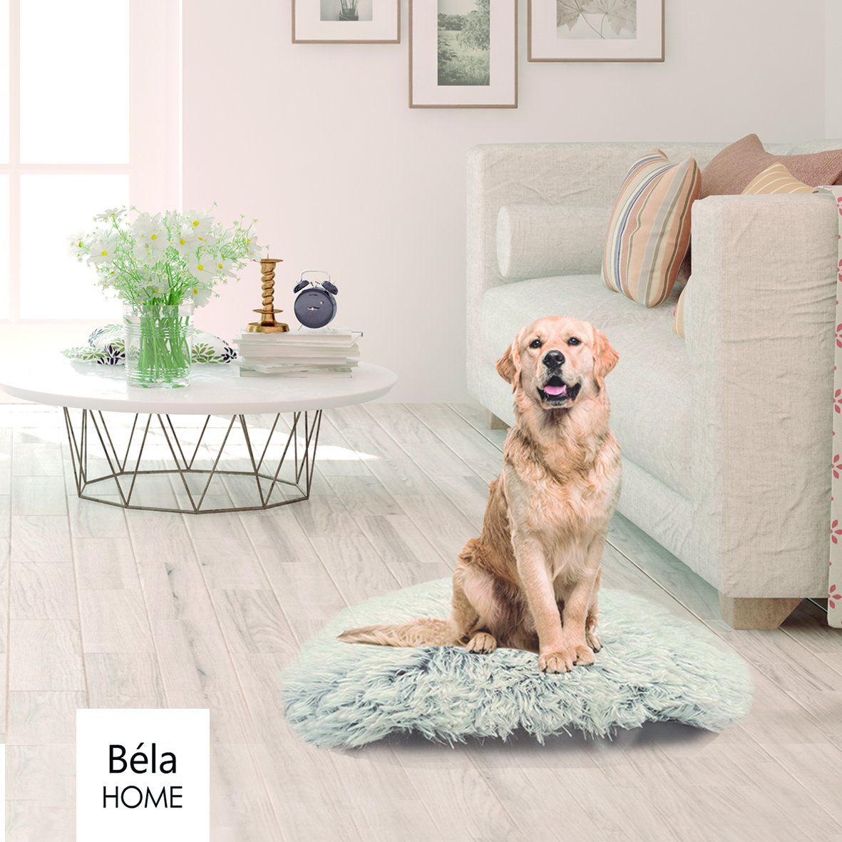 Cama Anti Estrés Perro Grande