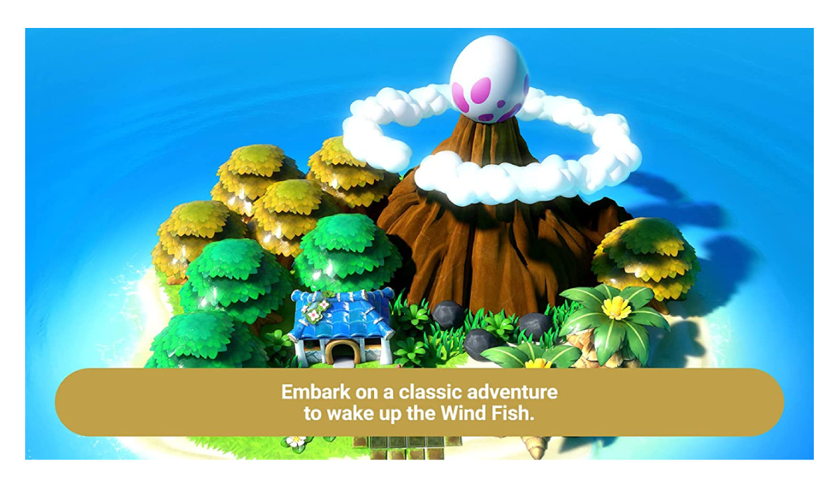 The Legend Of Zelda Link's Awakening Compatible Nintendo Switch 