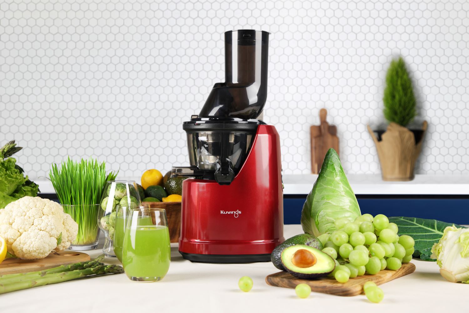 Extractor de jugos Kuvings de prensado en frío B1700 dark red