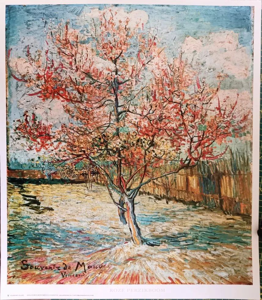 VAN GOGH Cinco  Litografías Para Enmarcar 50 x 40 cms 