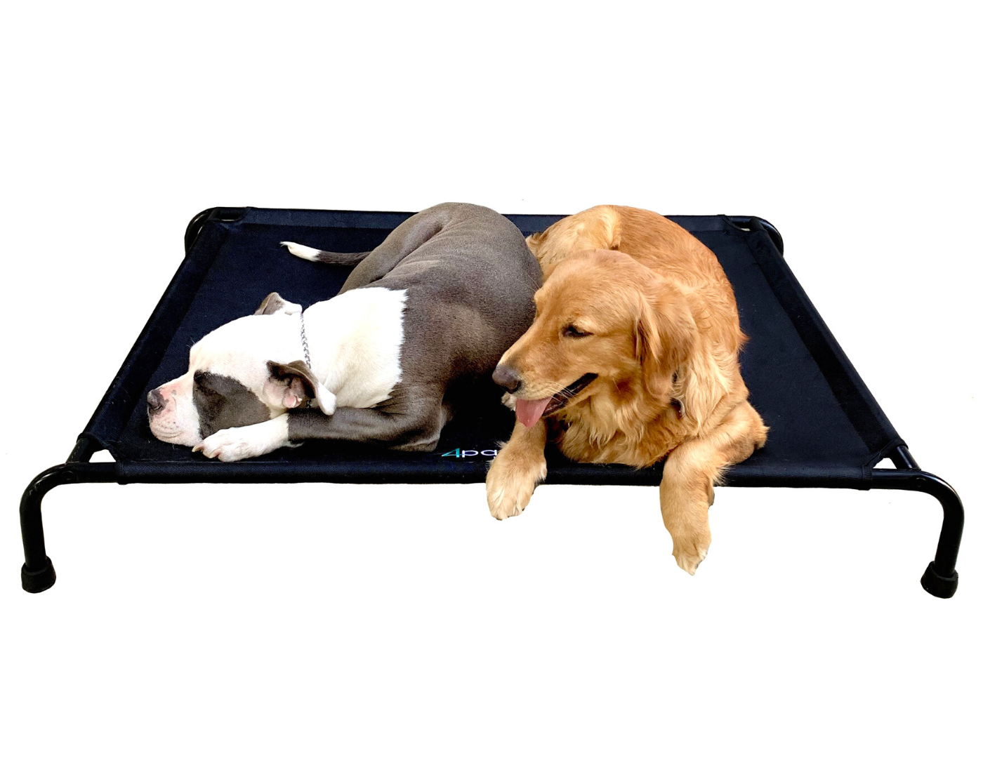 Cama Elevada Para Perro Grande.