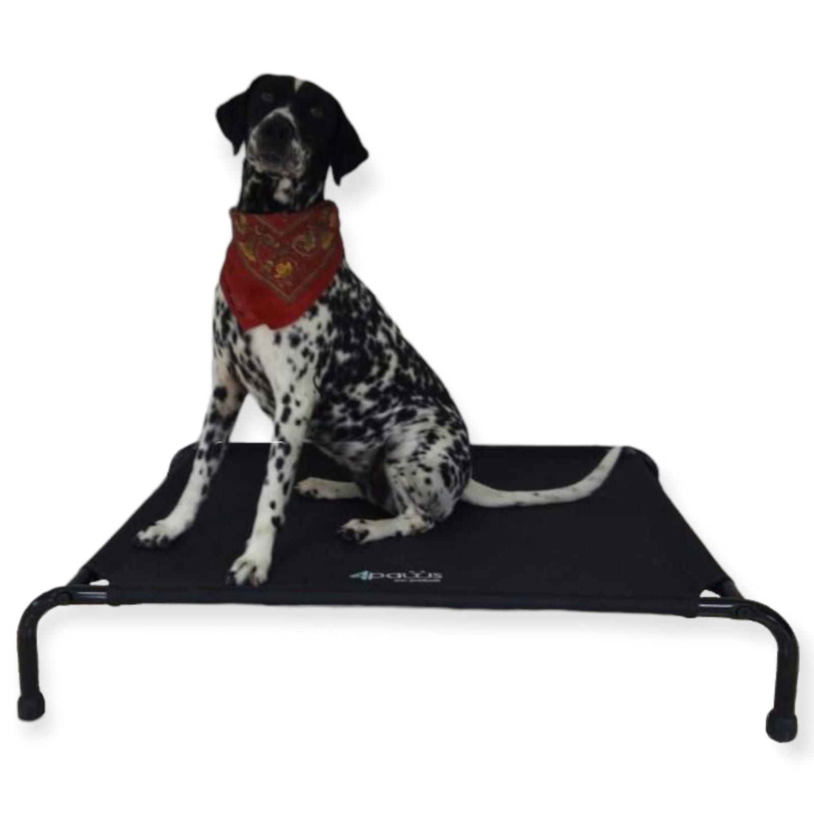 Cama Elevada Para Perro Grande.