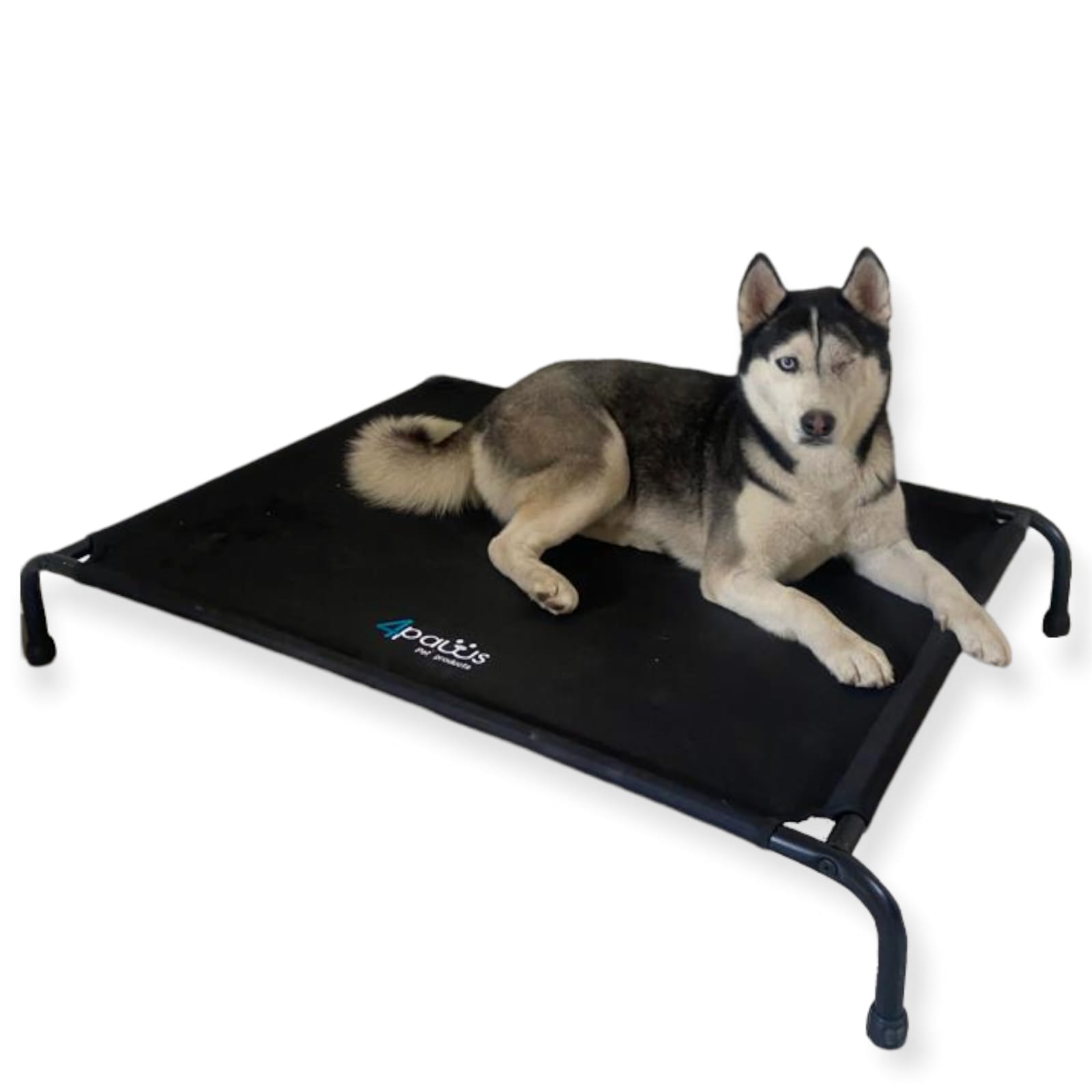 Cama Elevada Para Perro Grande.