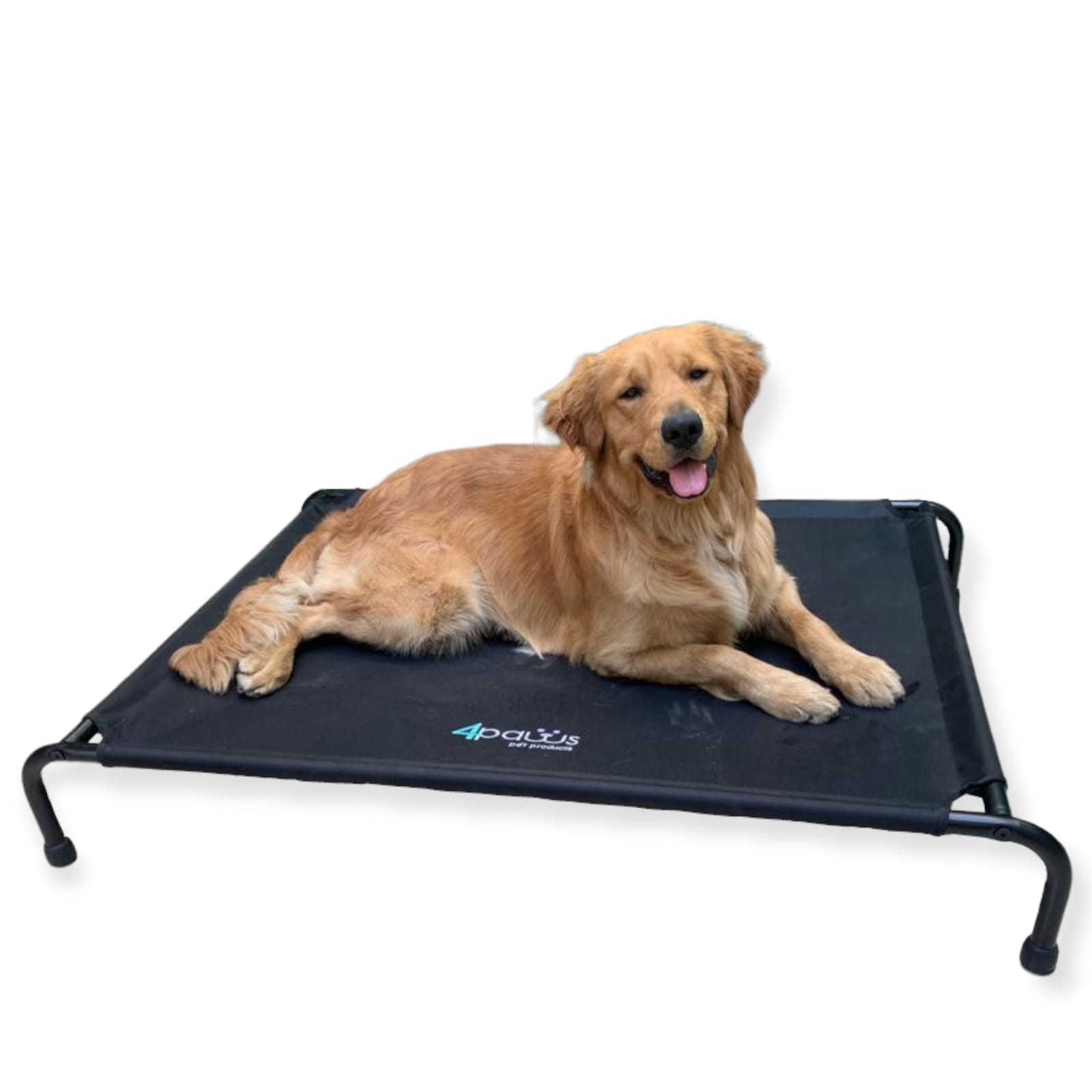 Cama Elevada Para Perro Grande.