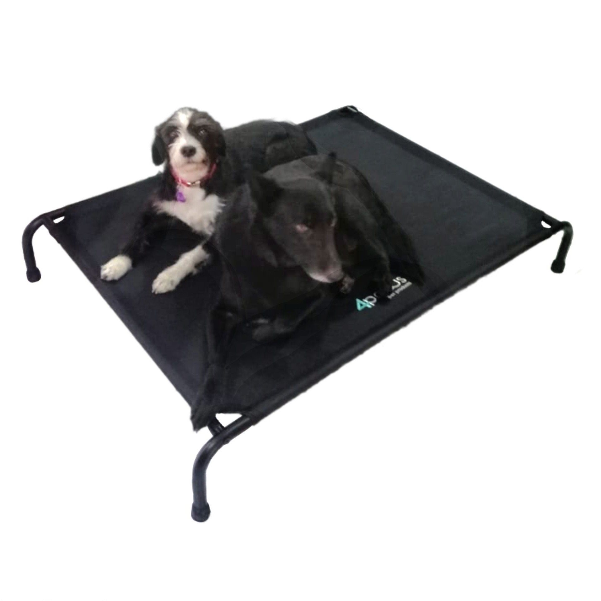 Cama Elevada Para Perro Grande.