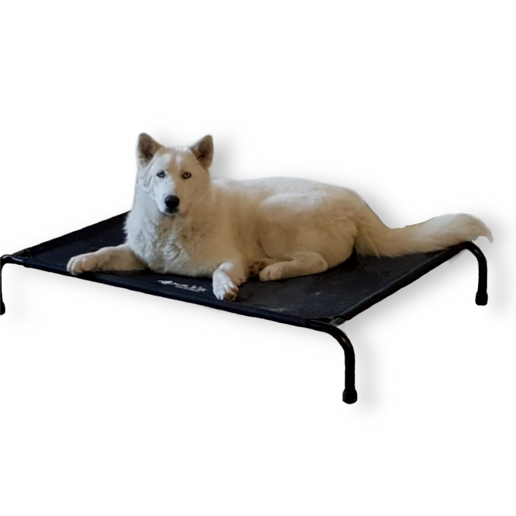 Cama Elevada Para Perro Grande.