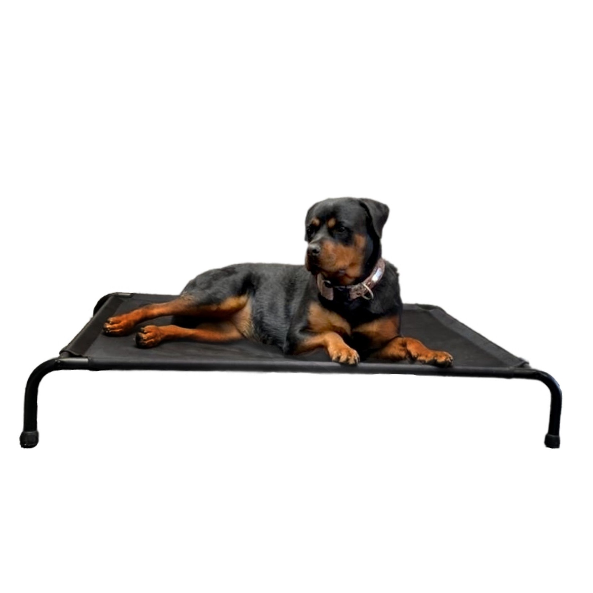 Cama Elevada Para Perro Grande.