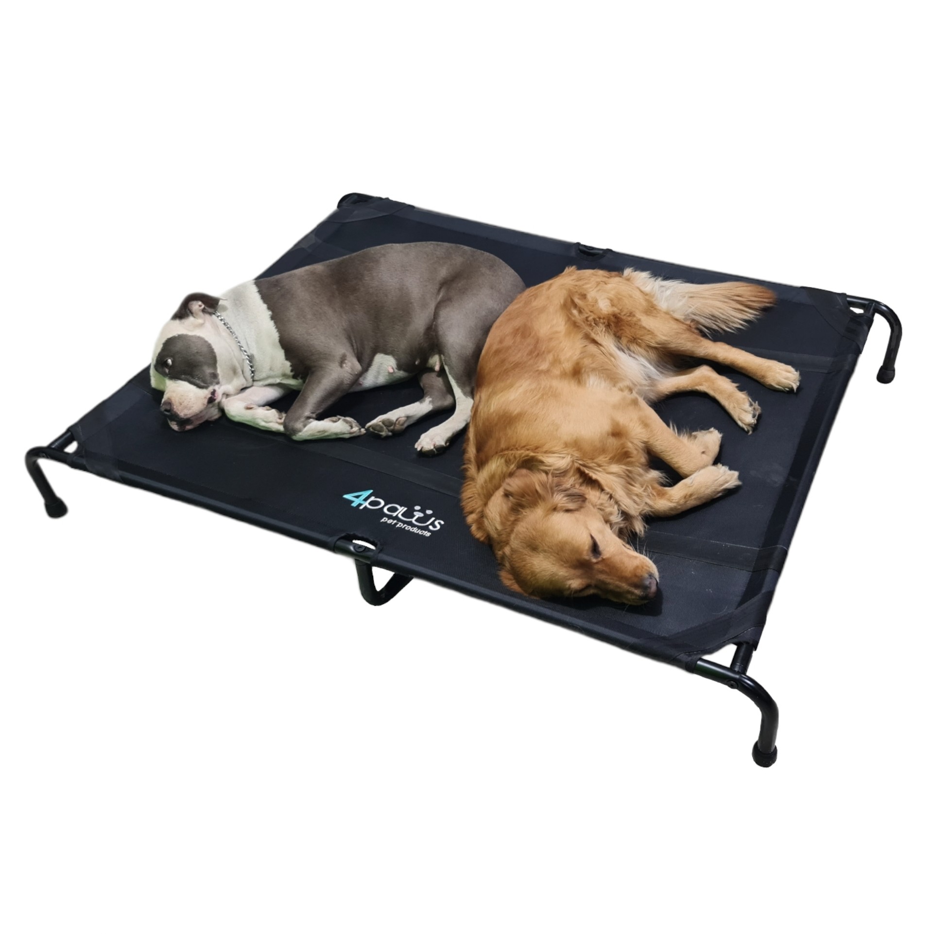 Cama Elevada Para Perro XGrande.