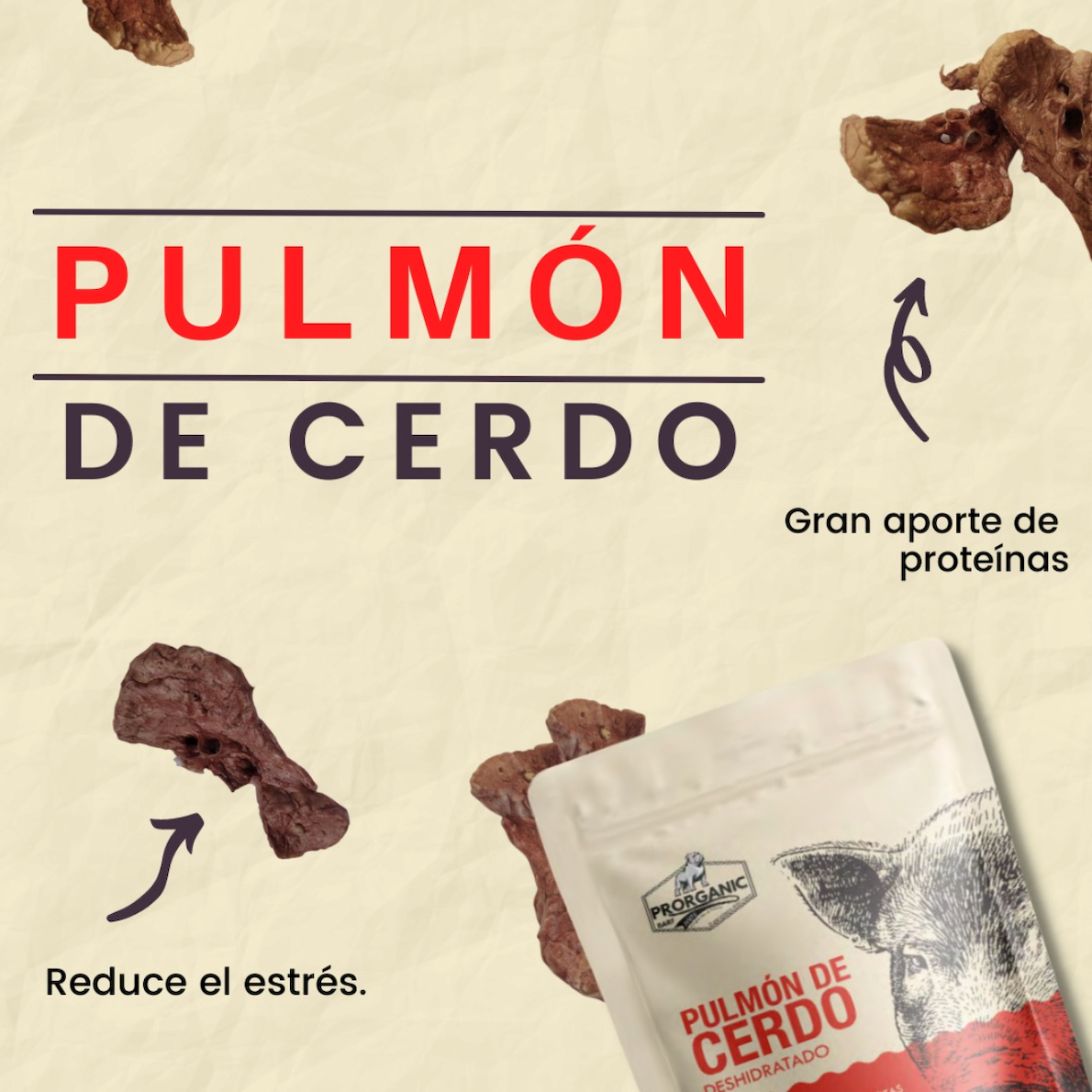 Pulmón de cerdo deshidratado 35 gr