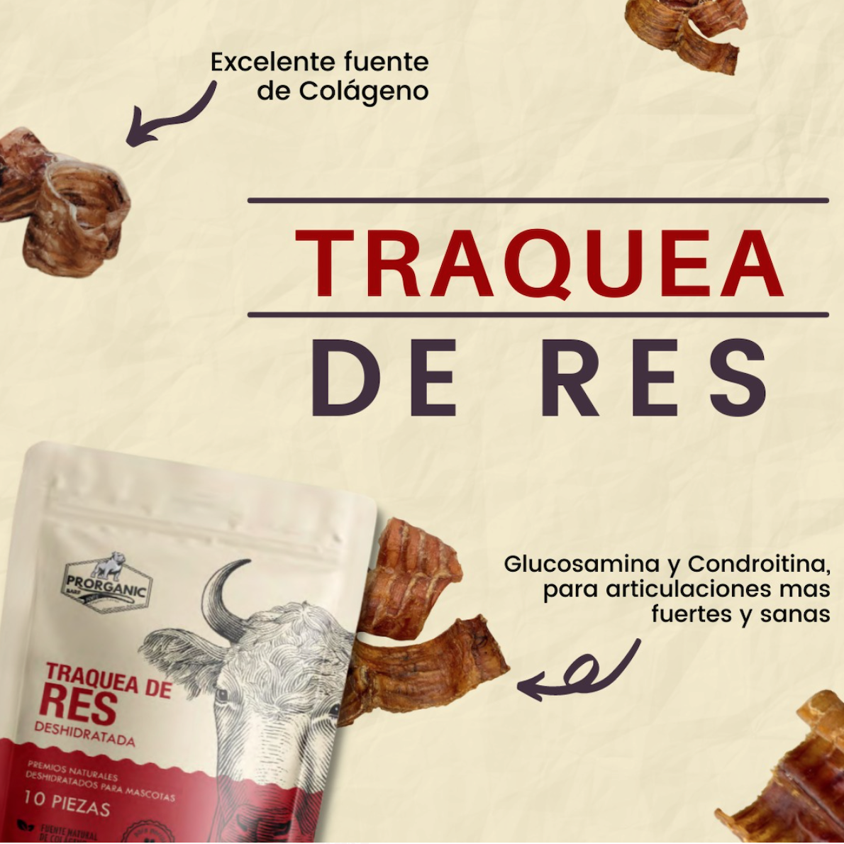 Tráquea de res deshidratada 20 pz