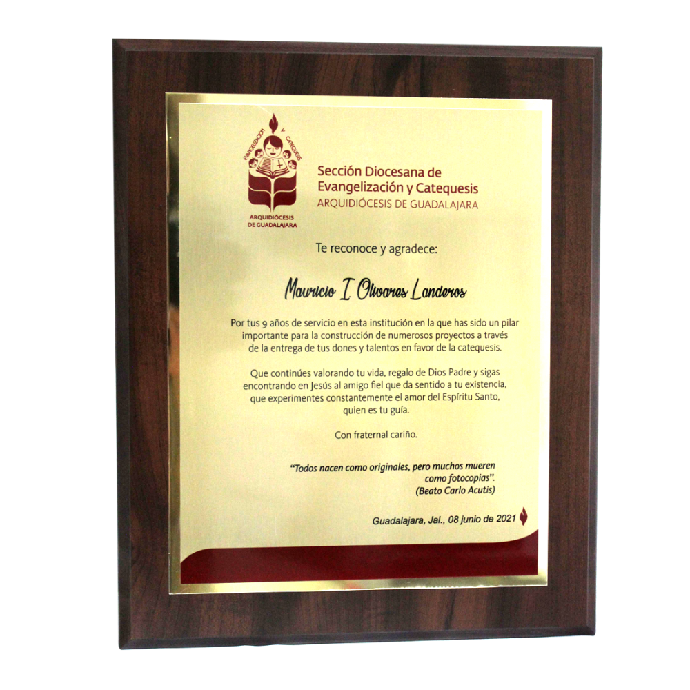Reconocimiento para Premio para colgar en pared en forma de cuadro de placa personalizada en dorado o plateado con gráficos y texto Hecho en México Aurum