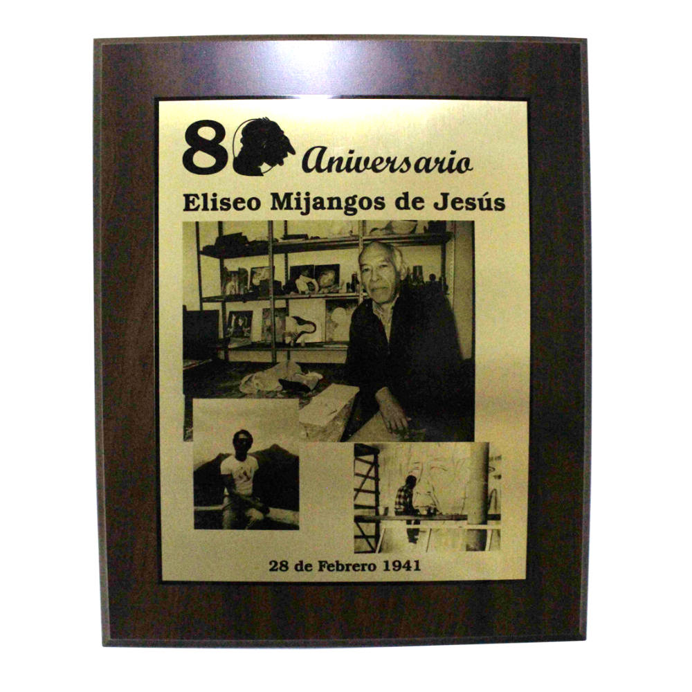 Reconocimiento para Premio para colgar en pared en forma de cuadro de placa personalizada en dorado o plateado con gráficos y texto Hecho en México Aurum