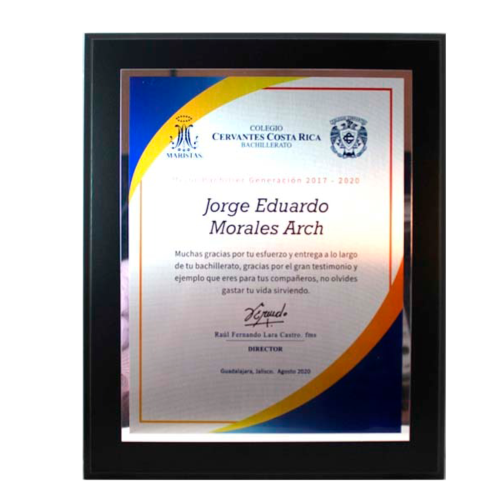 Reconocimiento para Premio para colgar en pared en forma de cuadro de placa personalizada en dorado o plateado con gráficos y texto Hecho en México Aurum